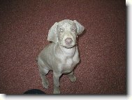 j� chci v���n!!