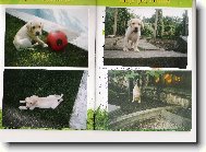 Tady je�t� byla �t���tko:)