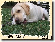 Megie kosti�ky miluje...