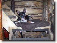 aj si rada podr�mem