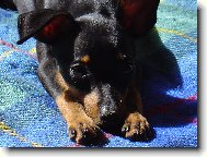 Vyh��v�n� na slun��ku