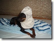 Jerynek v pono�ce:)