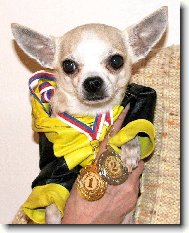 �ivava v�t�z�