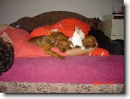 Pin�ov� v post�lce!