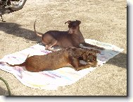 peruansk� nah��