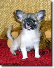 jsou n�m t�i m�s�ce