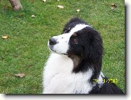 T�na (Agatha z Kamilkov� zahrady)