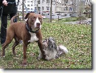 M�j nejv�t�� kamar�d...