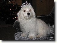 Kime�ek n� kr�l :-)