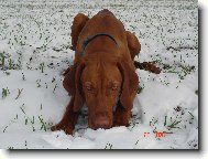 m�j prvn� sn�ek ...