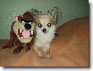 ad�mek ve sv�ch 9.5letech