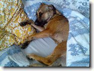 Corina pohod��ka