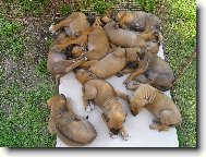 A� vyrostem, p�jde z n�s strach!