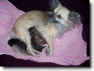 jen p�r hodin na sv�t�