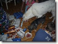 P�i�el k n�m Je��ek