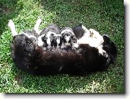 jennynka krmi �t�natka