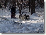 Vzpom�nka na leto�n� podivnou zimu