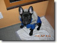 A m��e klidn� chumelit!