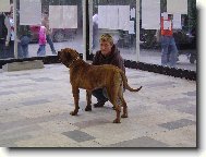 V�stava Olomouc 2007