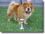 YONNE z �DOL� SN̎ENEK