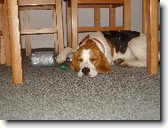 �nava En�i .......