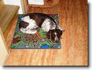 Arka z lou�sk� paseky