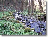 Bob�� sout�ska