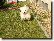 B��c� Mat�sek