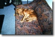 p�kn� odpo��v�m