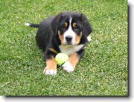 Kdo m� to fot� ?