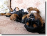 Na�e kaval�rka Ejmi