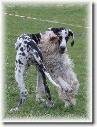 L�ska na prvn� pohled