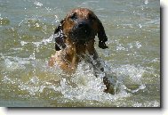 Tak u� se neboj�m plavat :-))