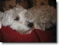 Je�i� co to jee!!!??