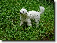 Tr�va mi taky chutn� :o)