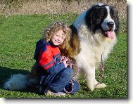 �eleznyj Blesk - import Rusko - 2 roky