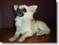 Jeles - Le od Vyd�� z�toky