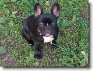 Barunka - 3,5  m�s�ce