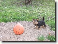n� Max�k