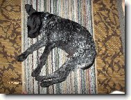 Dobrou noc,str��ku Fido.Dobrou noc,d�ti :o)