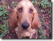 Takhle smutn� kouk�m