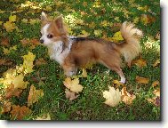 Prvn� podzimn� den