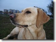 Profil B�ry