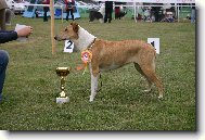 Gaya Kr�sn� Louka