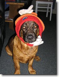 Jsem fe��k ze Slivence!!!