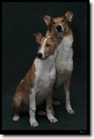 Bud� z n�s hviezdy?