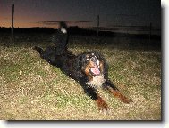 Argo se v�l�