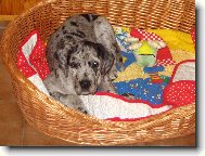 Nech m� sp����t.....