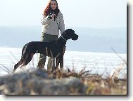 K�rass z Josefovsk�ch bud