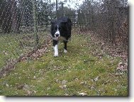 Bl�z�nek :)